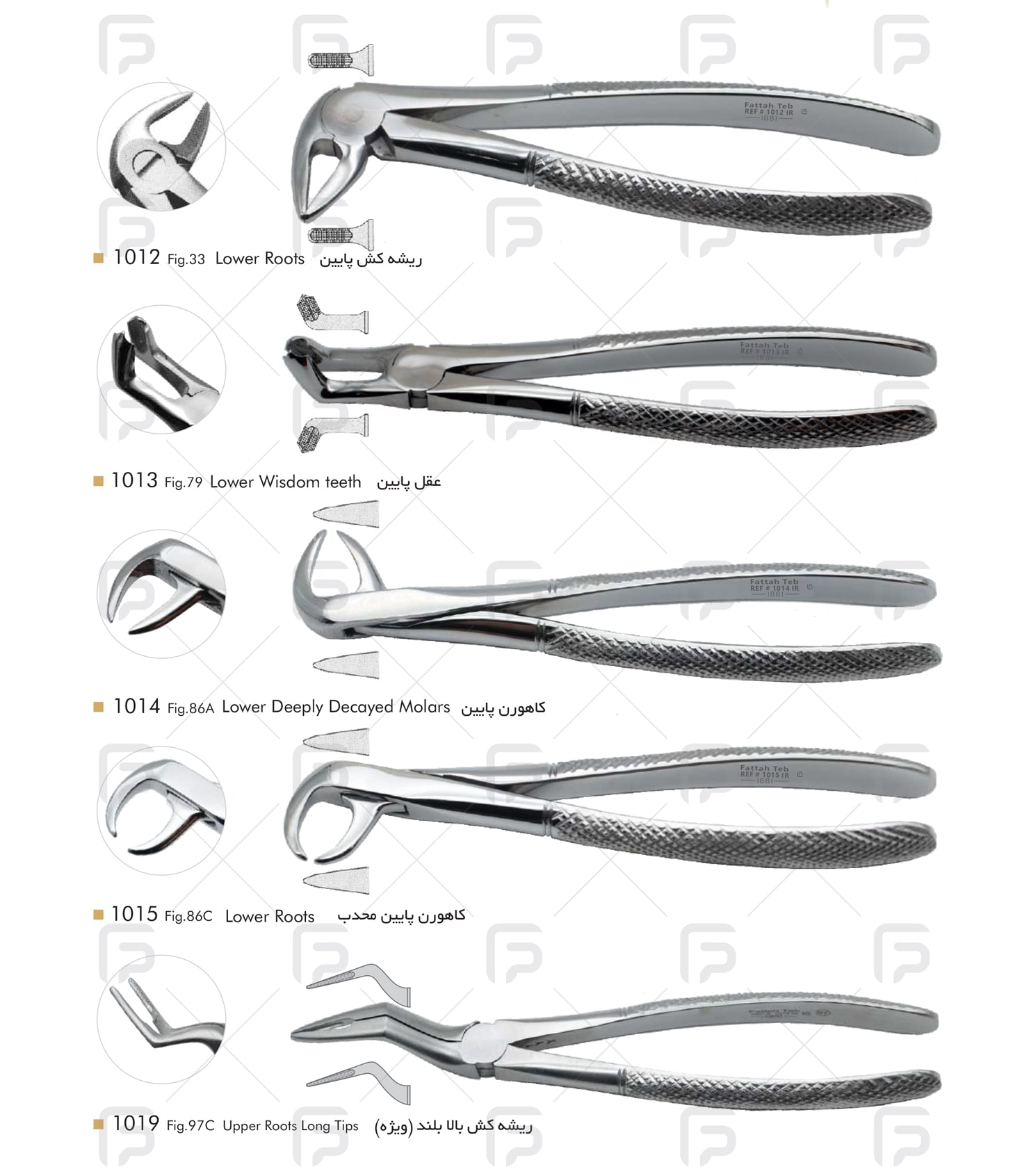 forceps